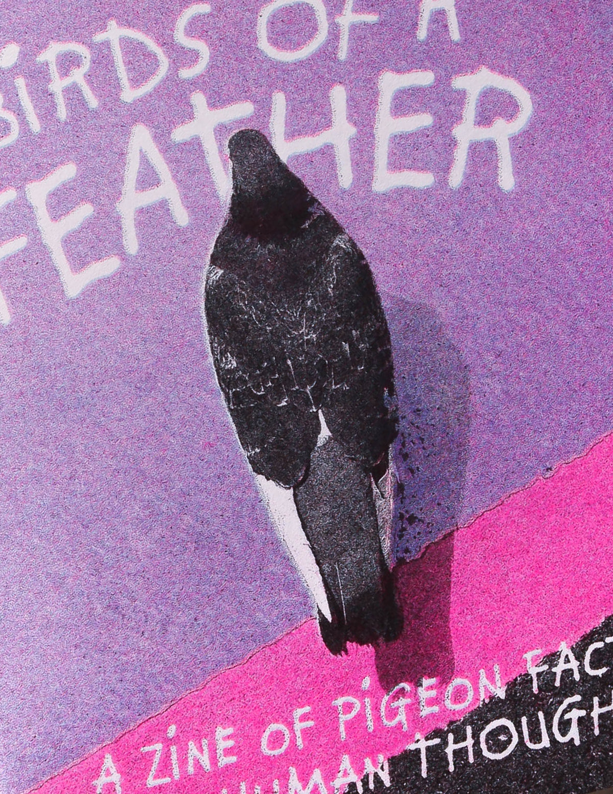 Birds of a Feather Zine