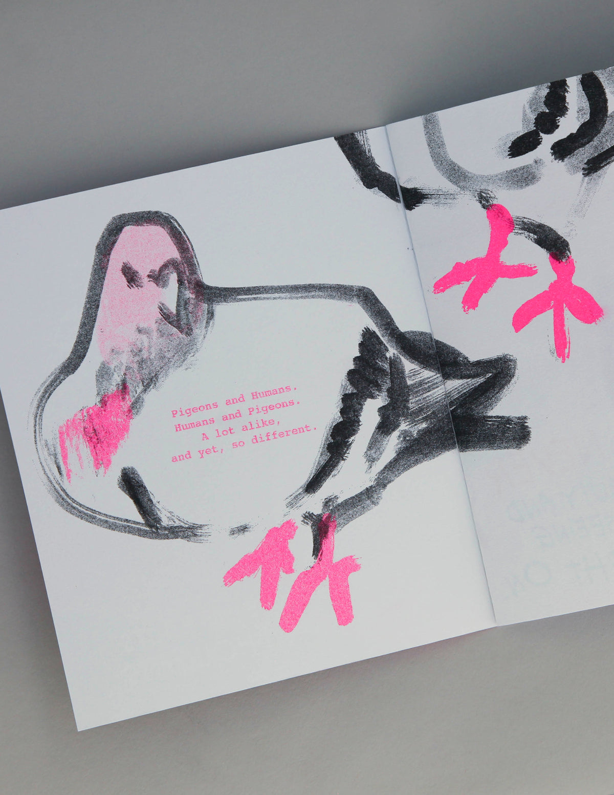 Birds of a Feather Zine