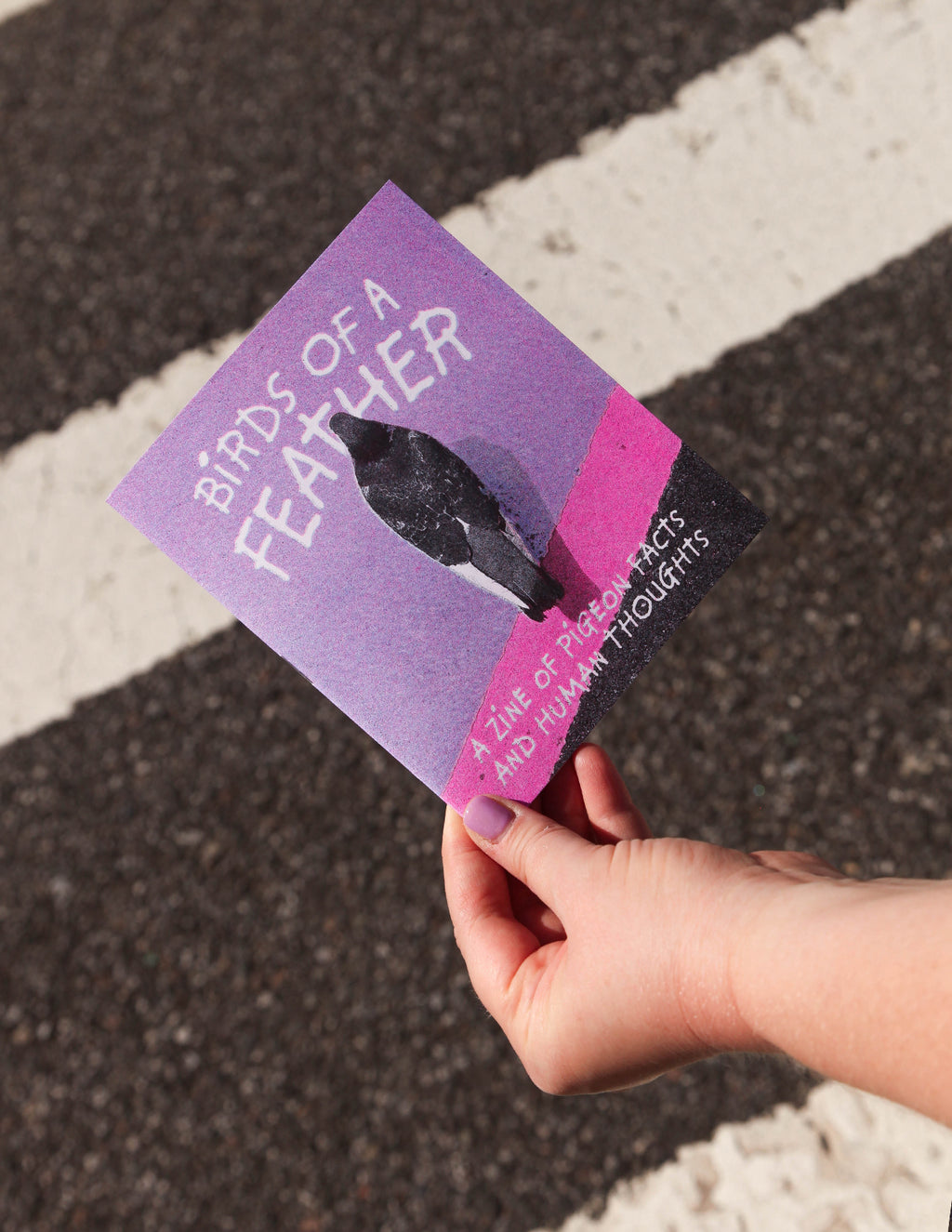 Birds of a Feather Zine