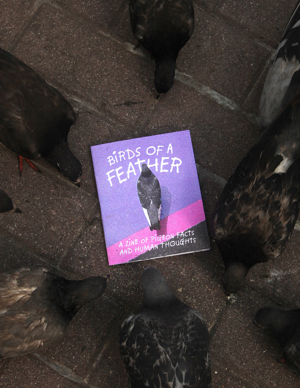 Birds of a Feather Zine