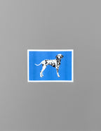 Dalmations