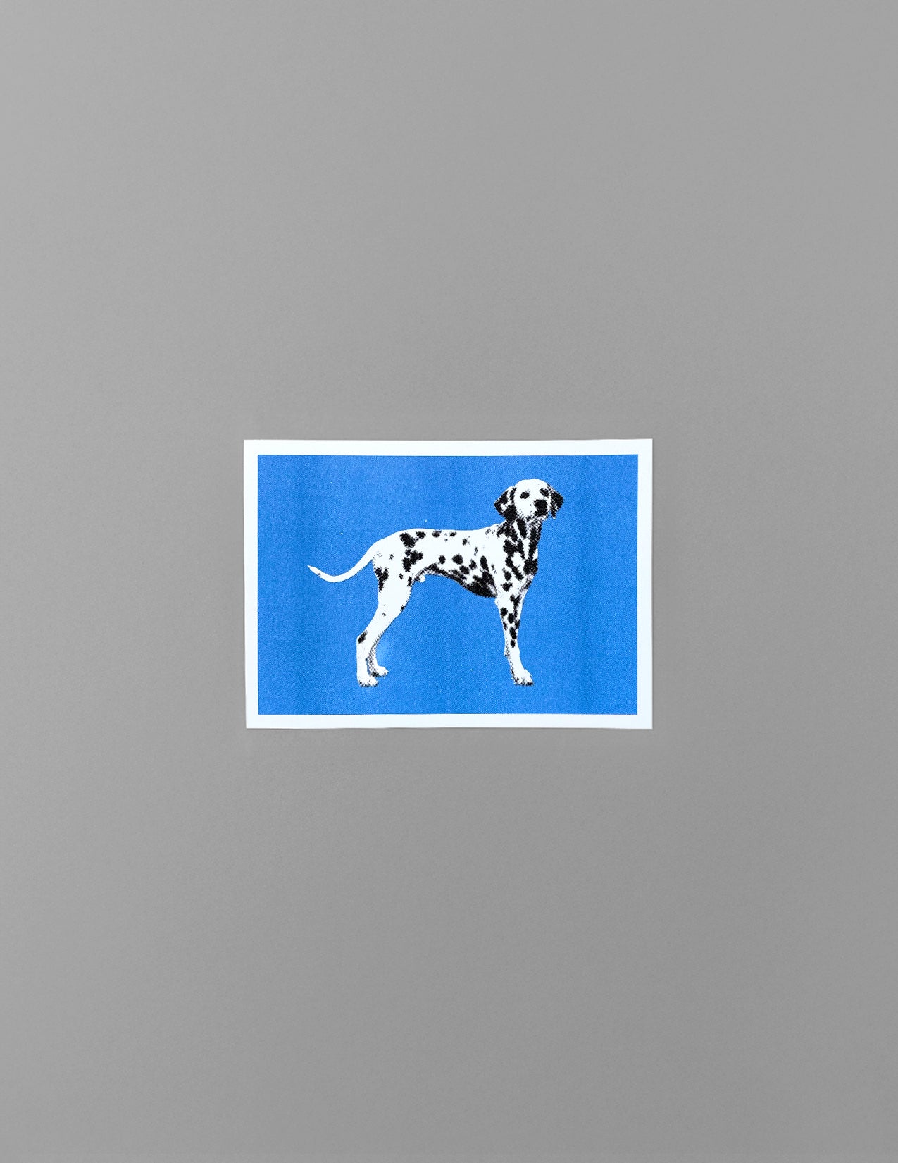Dalmations