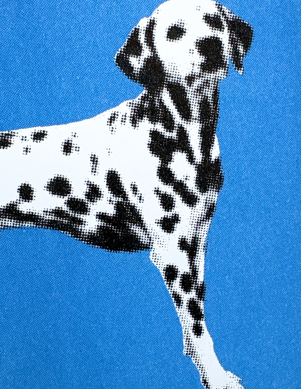 Dalmations