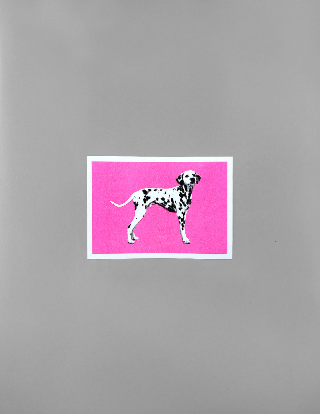 Dalmations
