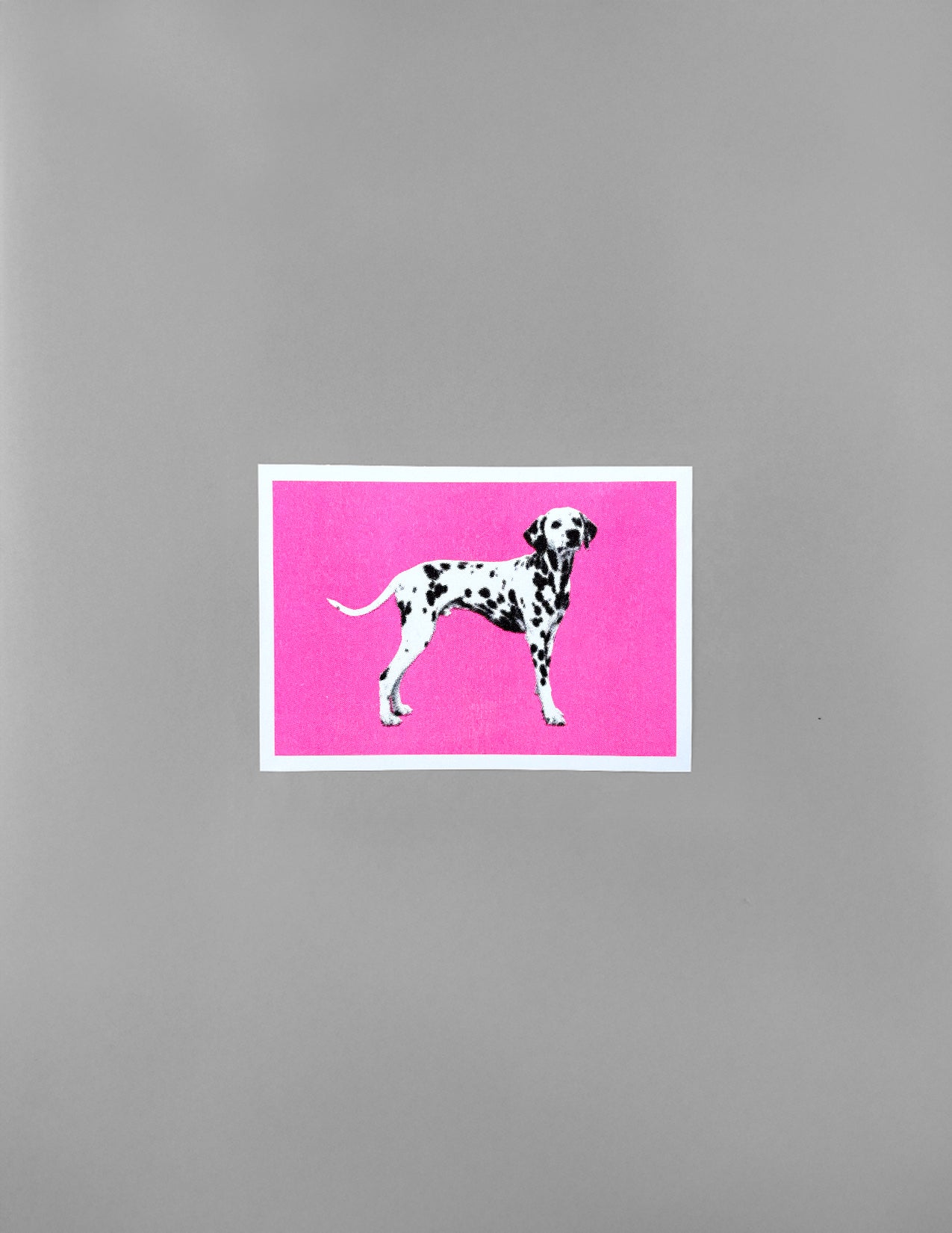 Dalmations