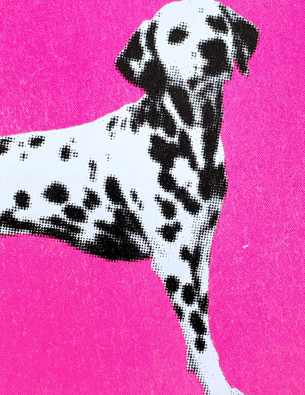Dalmations