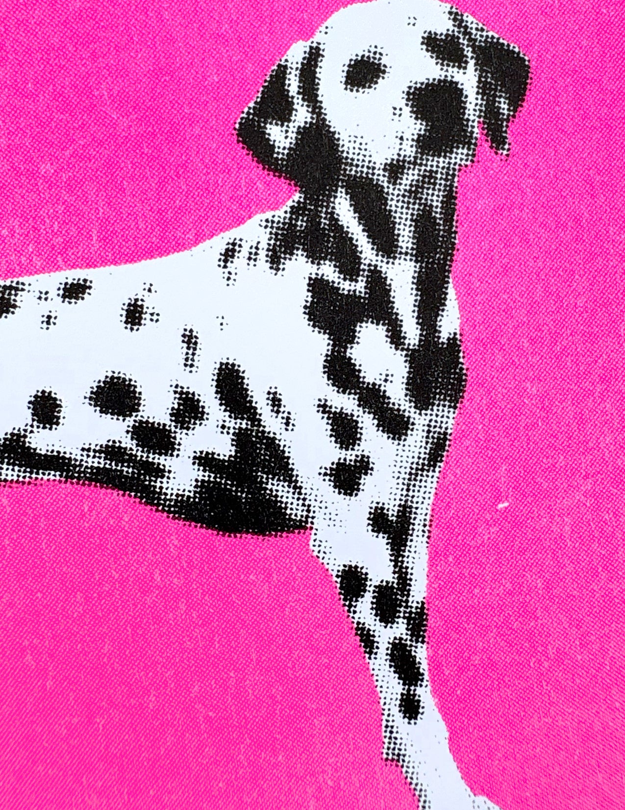 Dalmations