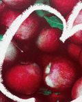 Fall Apples
