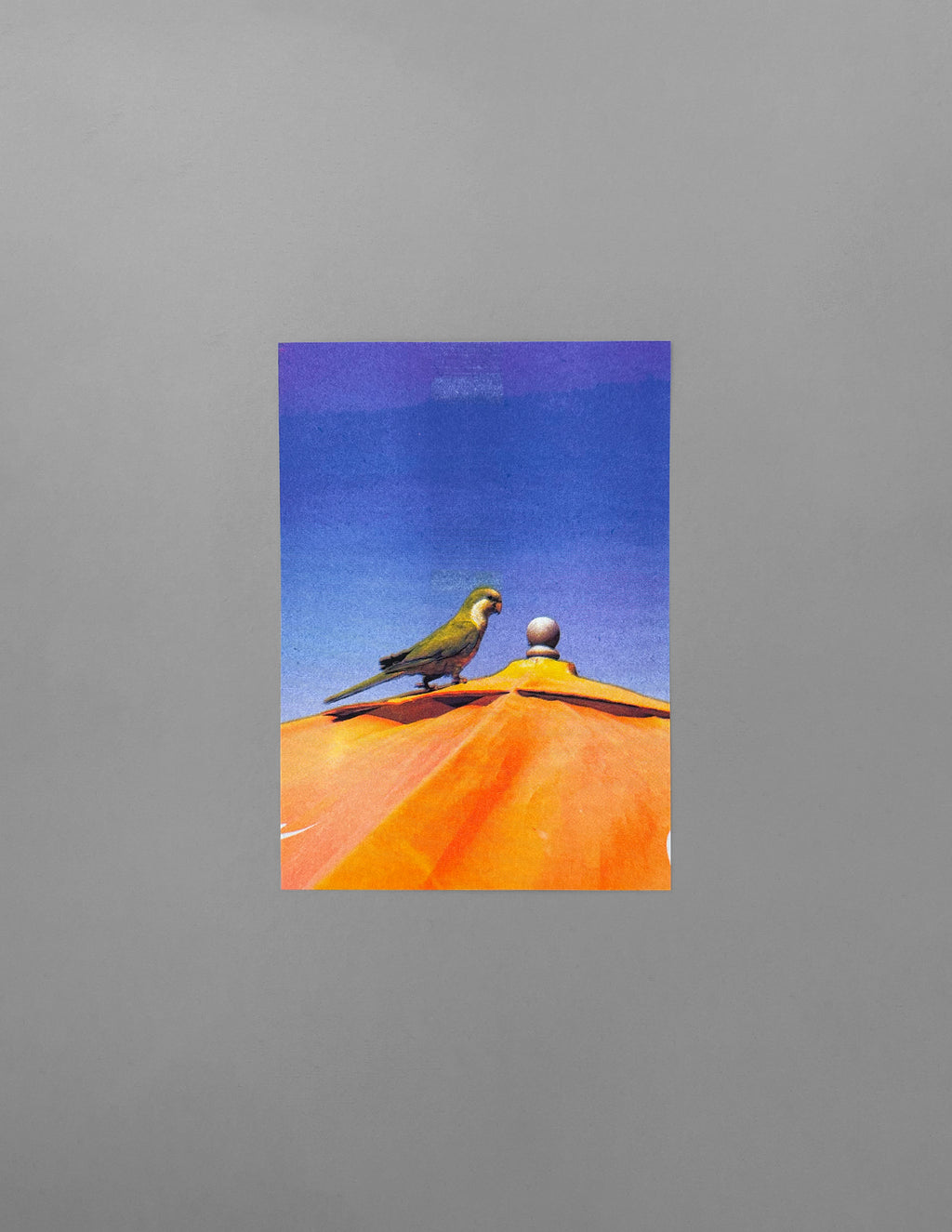 Parakeet