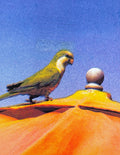 Parakeet
