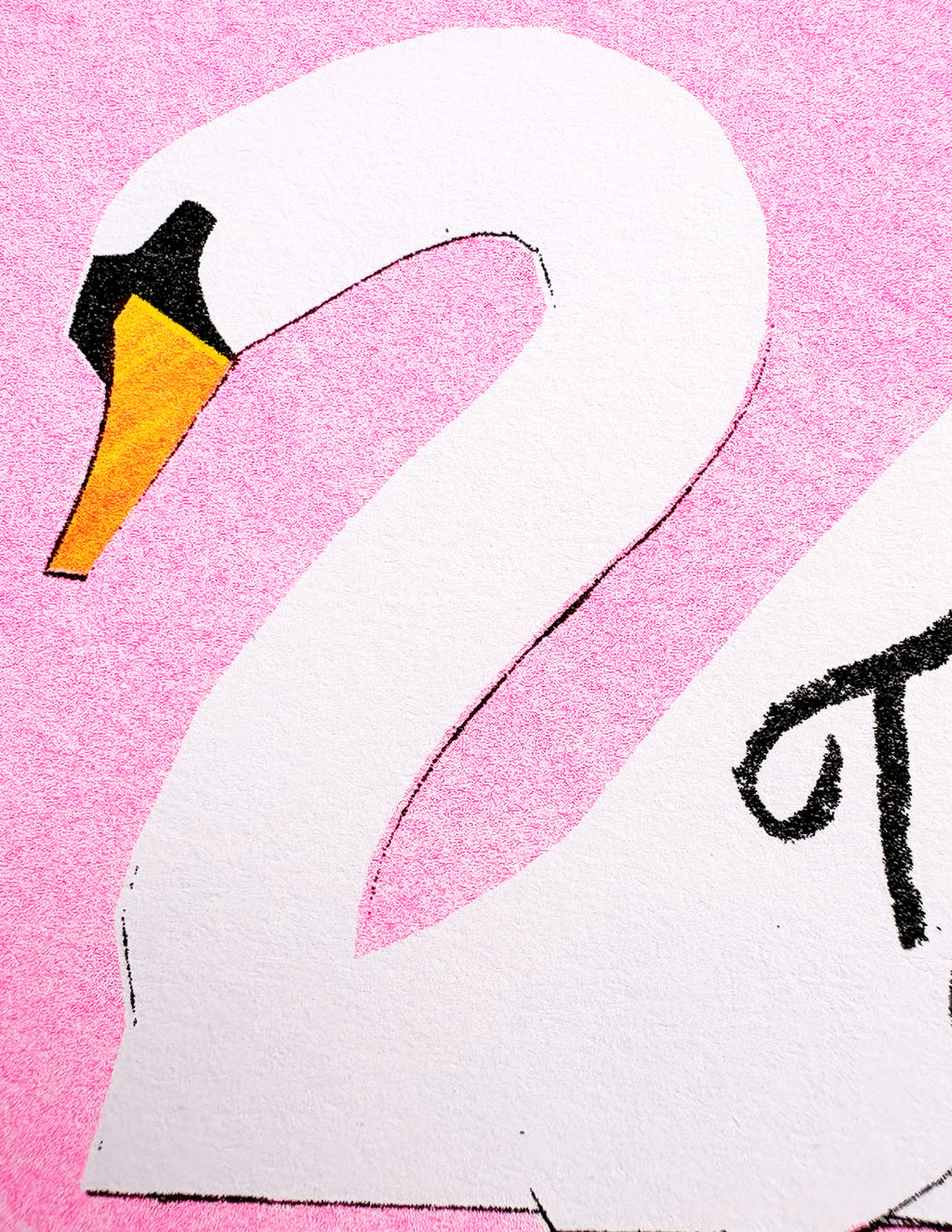 Swan Thank You Card